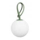 bolleke
