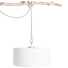 Thierry le Swinger